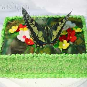 Торт сливочный Бабочка